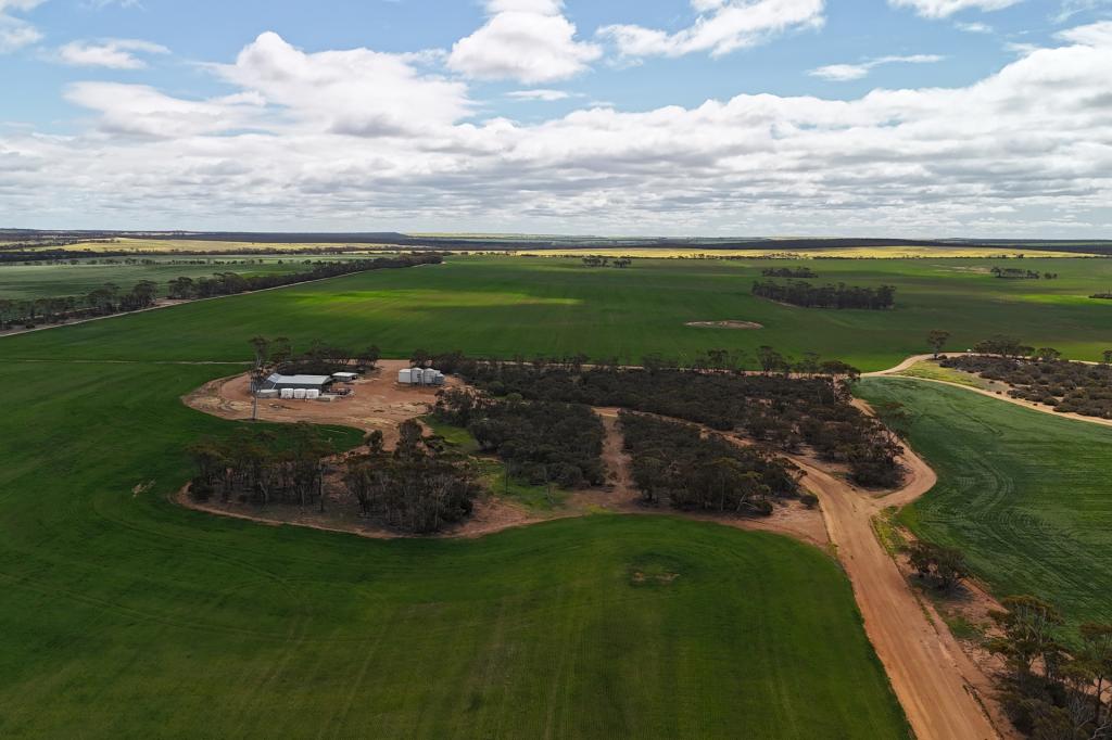 3279 Calzoni Rd, Hyden, WA 6359