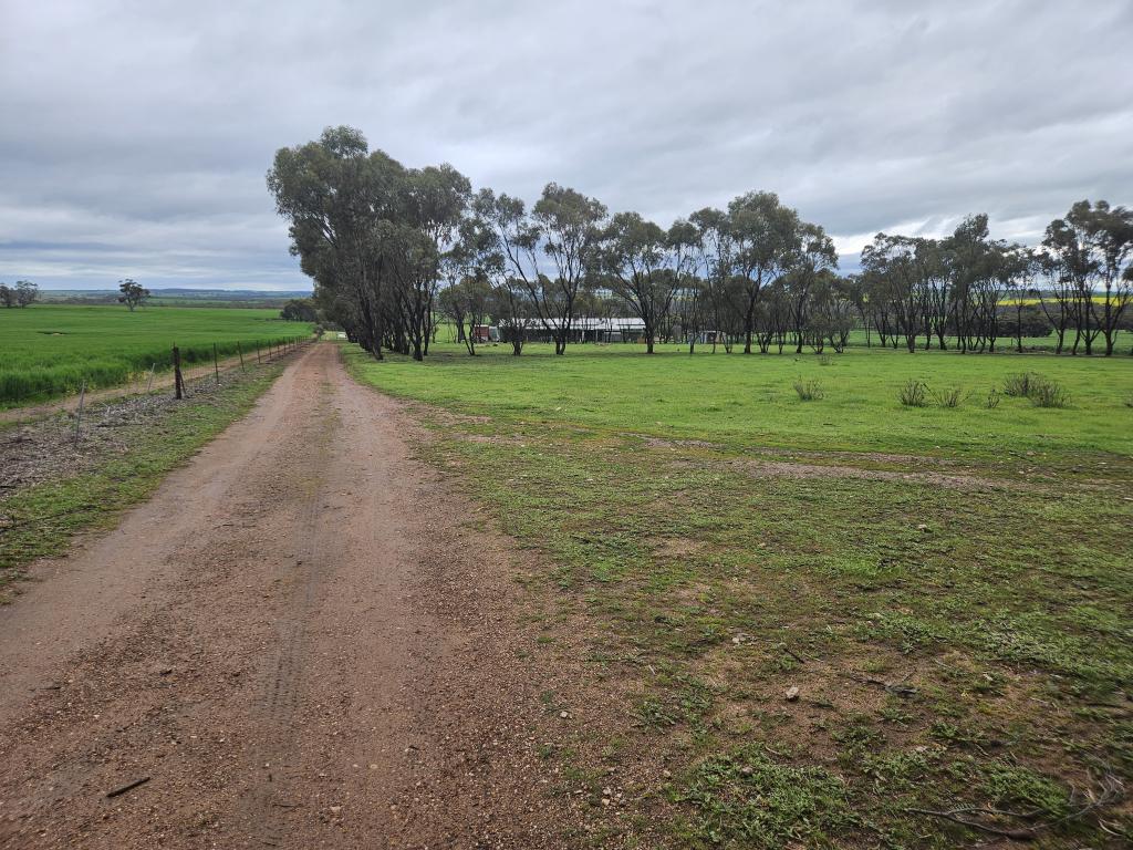 1511 QUELLINGTON RD, CALJIE, WA 6302