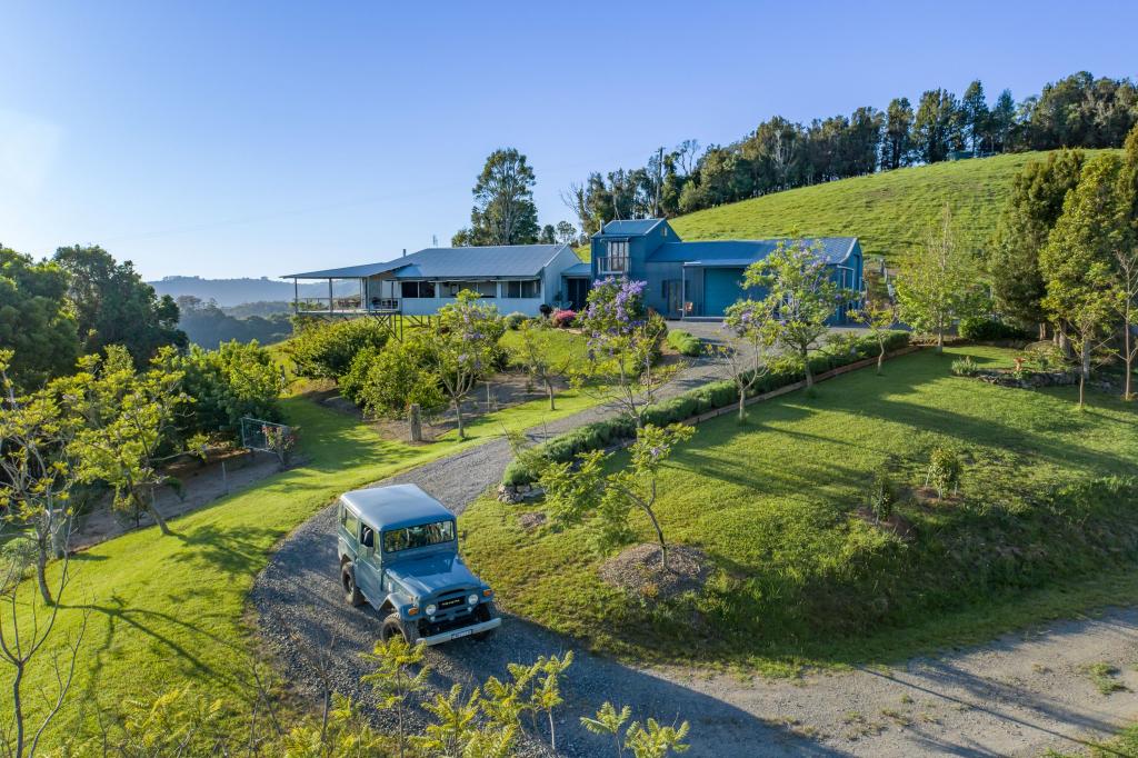 1163 Deer Vale Rd, Dorrigo, NSW 2453