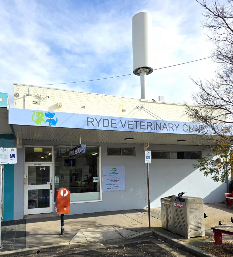 130 Quarry Rd, Ryde, NSW 2112