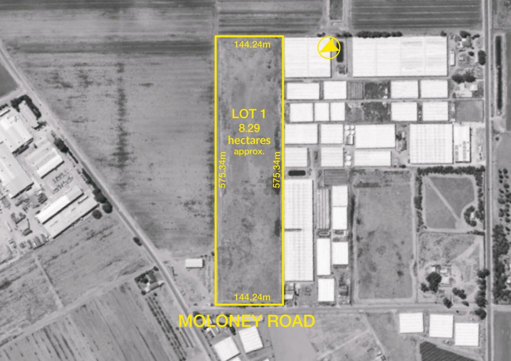 Lot 1 Moloney Rd, Virginia, SA 5120