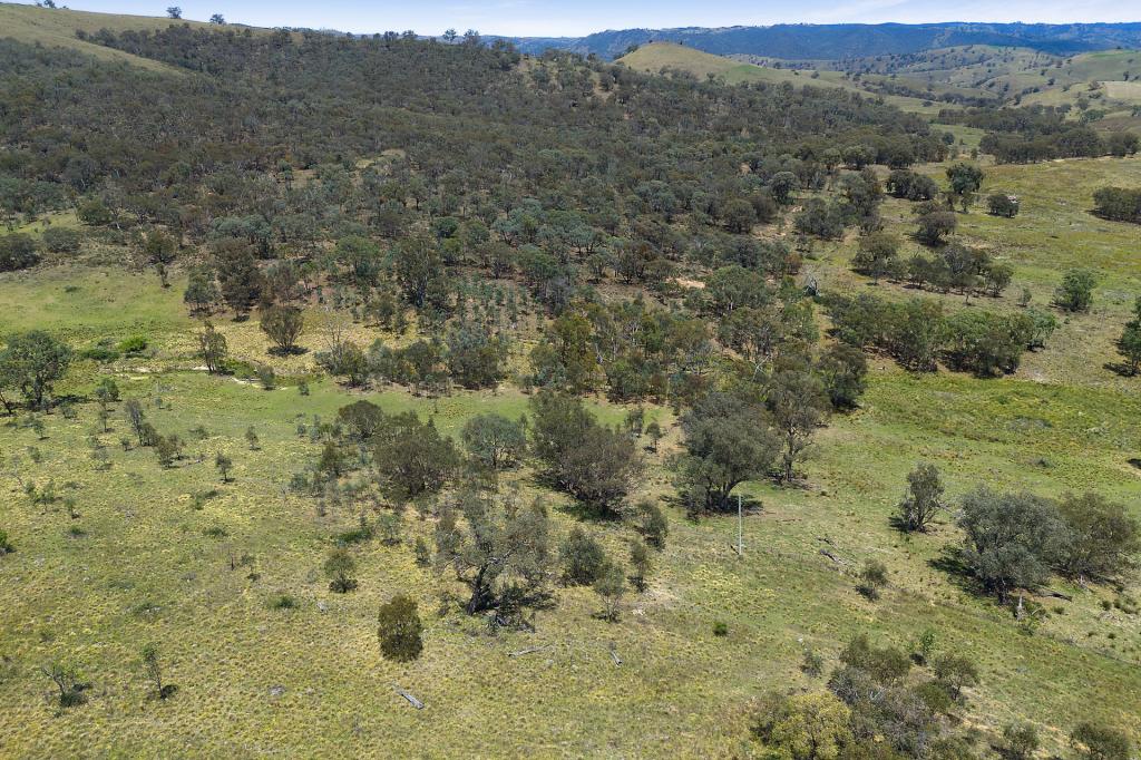 2238 Triamble Rd, Triamble, NSW 2850