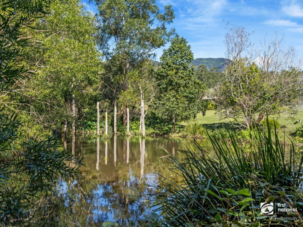 11 WARATAH CT, MOUNT BURRELL, NSW 2484