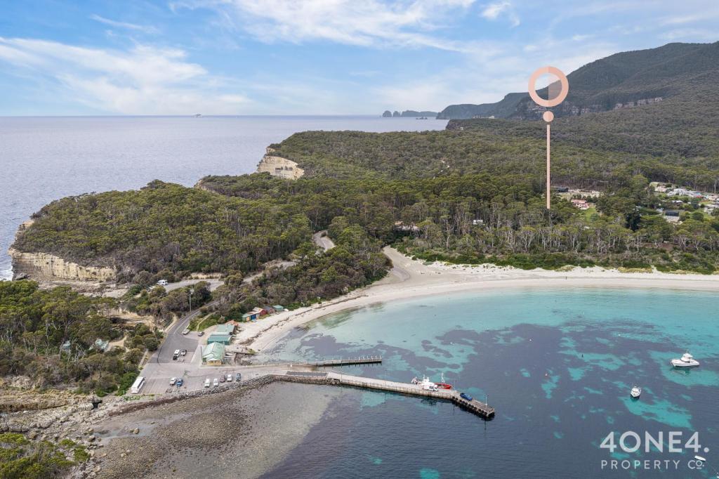 334 Blowhole Rd, Eaglehawk Neck, TAS 7179