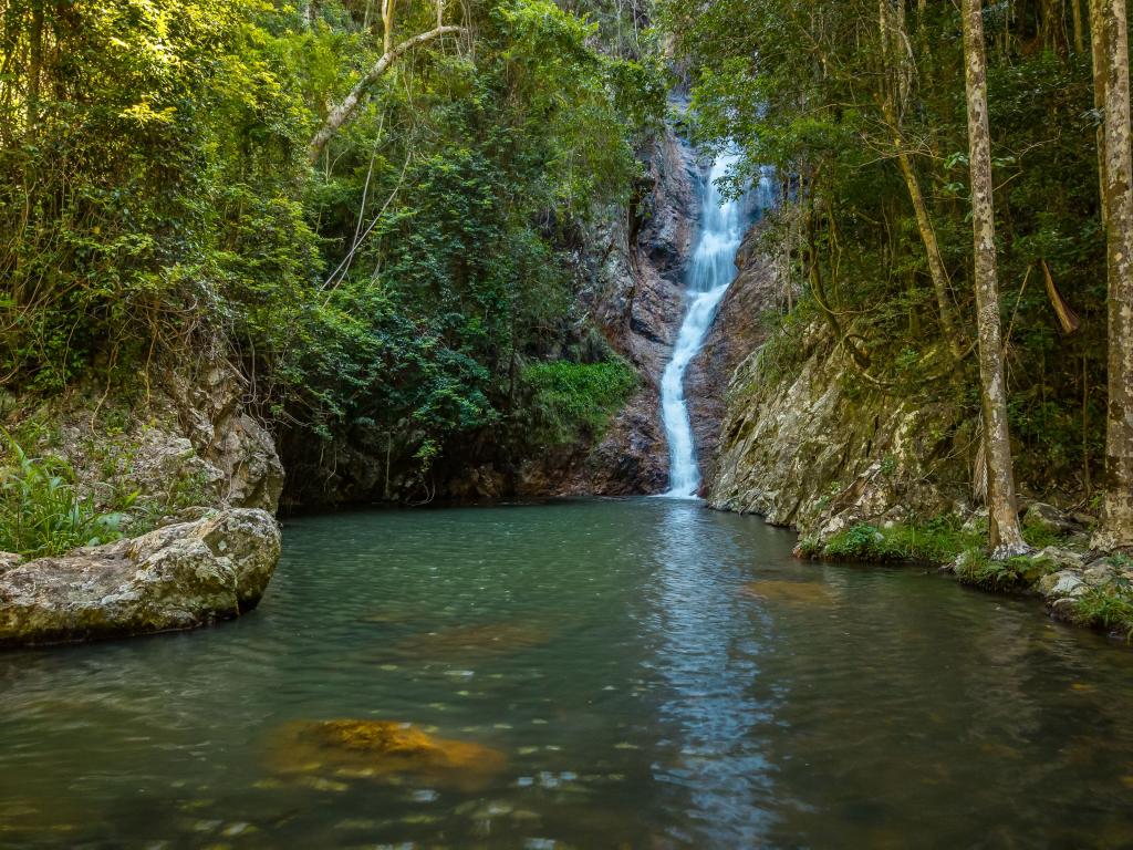 98-196 Guanaba Rd, Tamborine Mountain, QLD 4272
