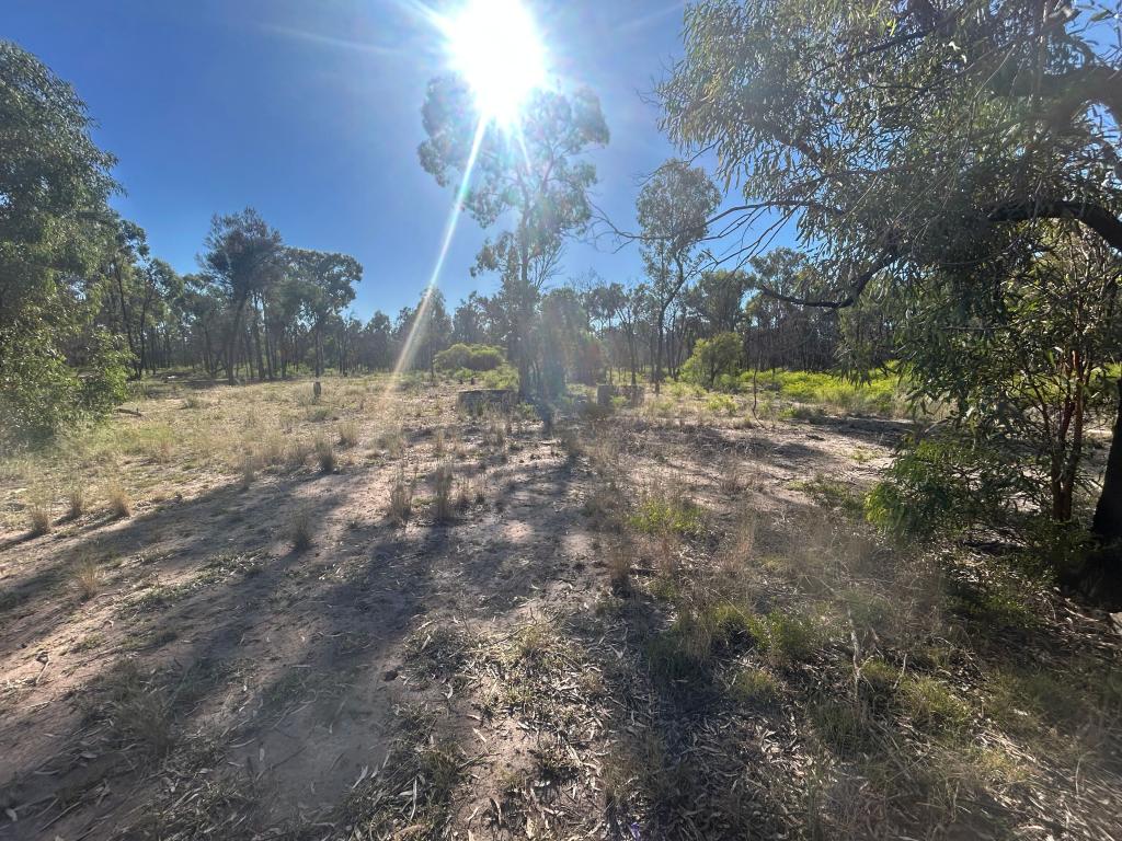 Lot 46/319 Males Dr, Tara, QLD 4421
