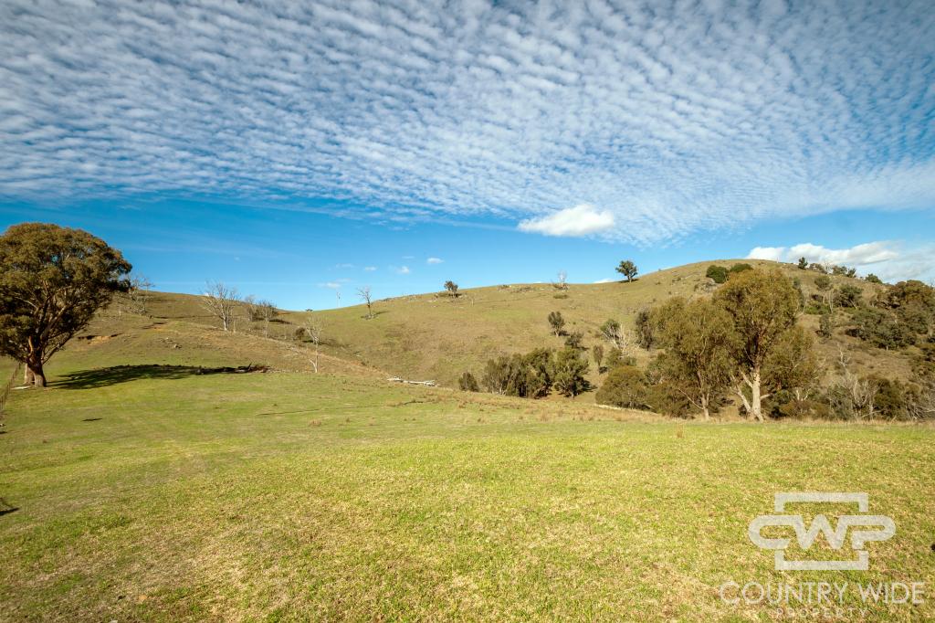 LOT 21 HALLS CREEK RD, BENDEMEER, NSW 2355
