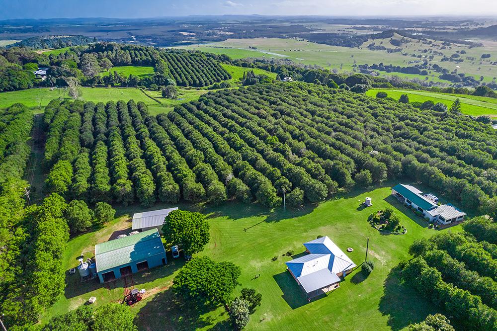 204 Cooks Lane, Dalwood, NSW 2477