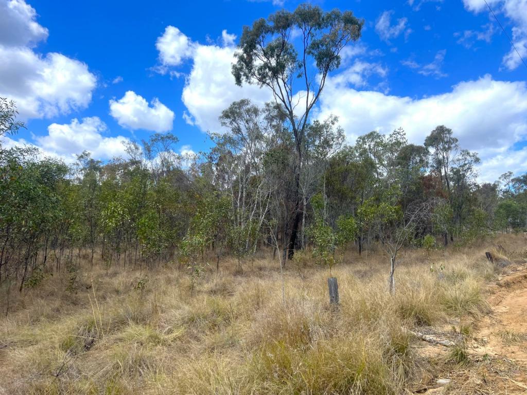 Lot 13 Walkers Rd, Ballogie, QLD 4610