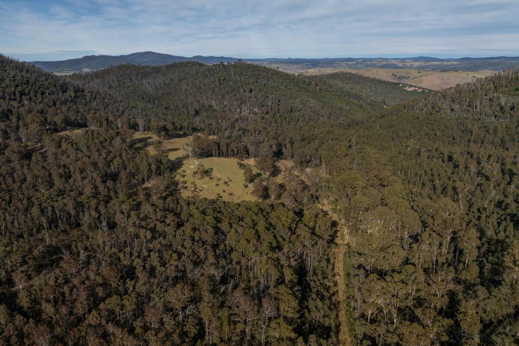 3954 Tulloch Ard Rd, Buchan, VIC 3885