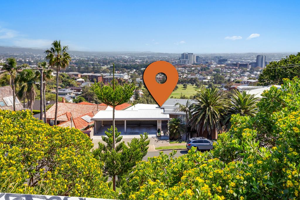 3/18 Memorial Dr, The Hill, NSW 2300