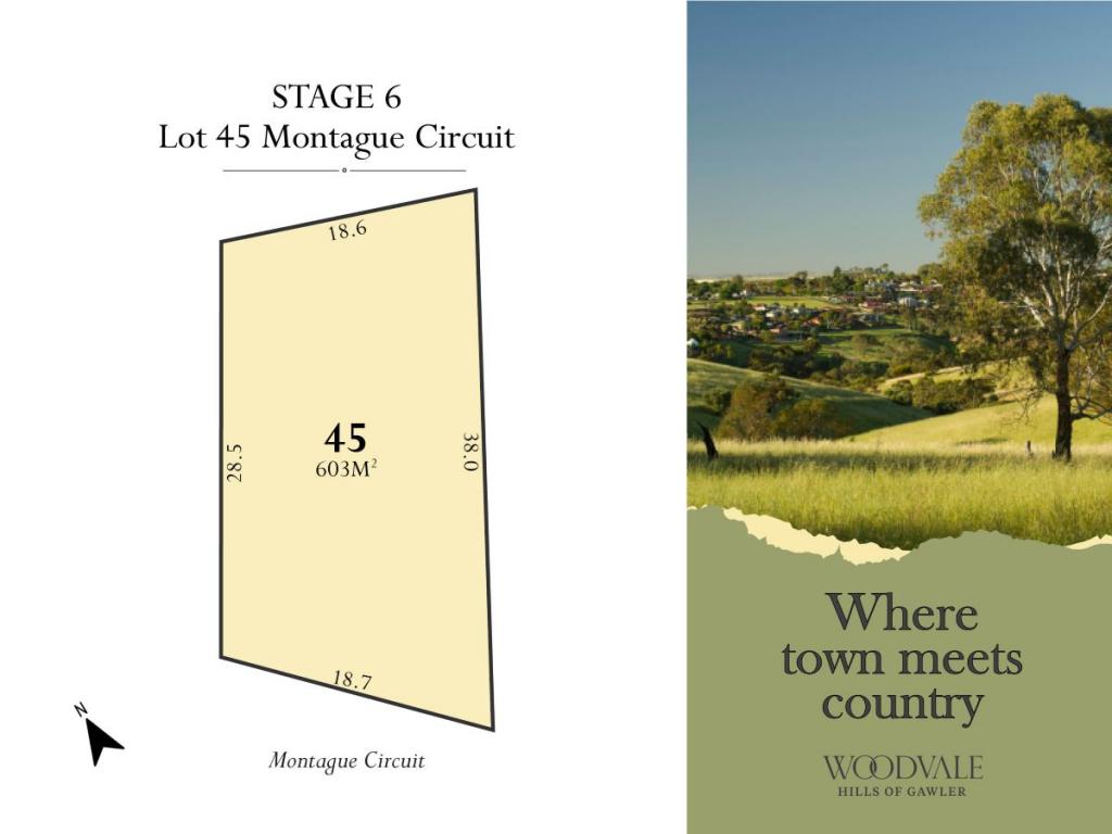 LOT 45 MONTAGUE CCT, GAWLER SOUTH, SA 5118