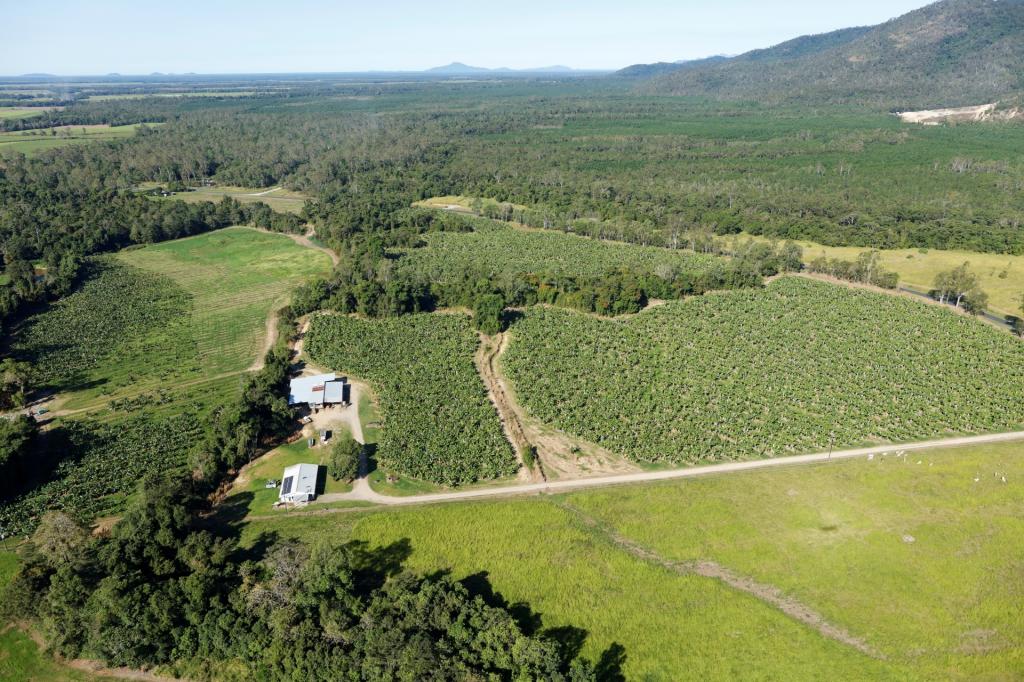 164 Middle Murray Rd, Murray Upper, QLD 4854