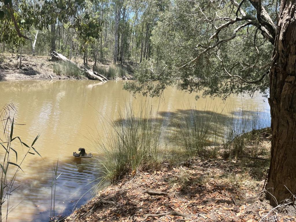 629 Clearfield Rd, Clearfield, NSW 2469