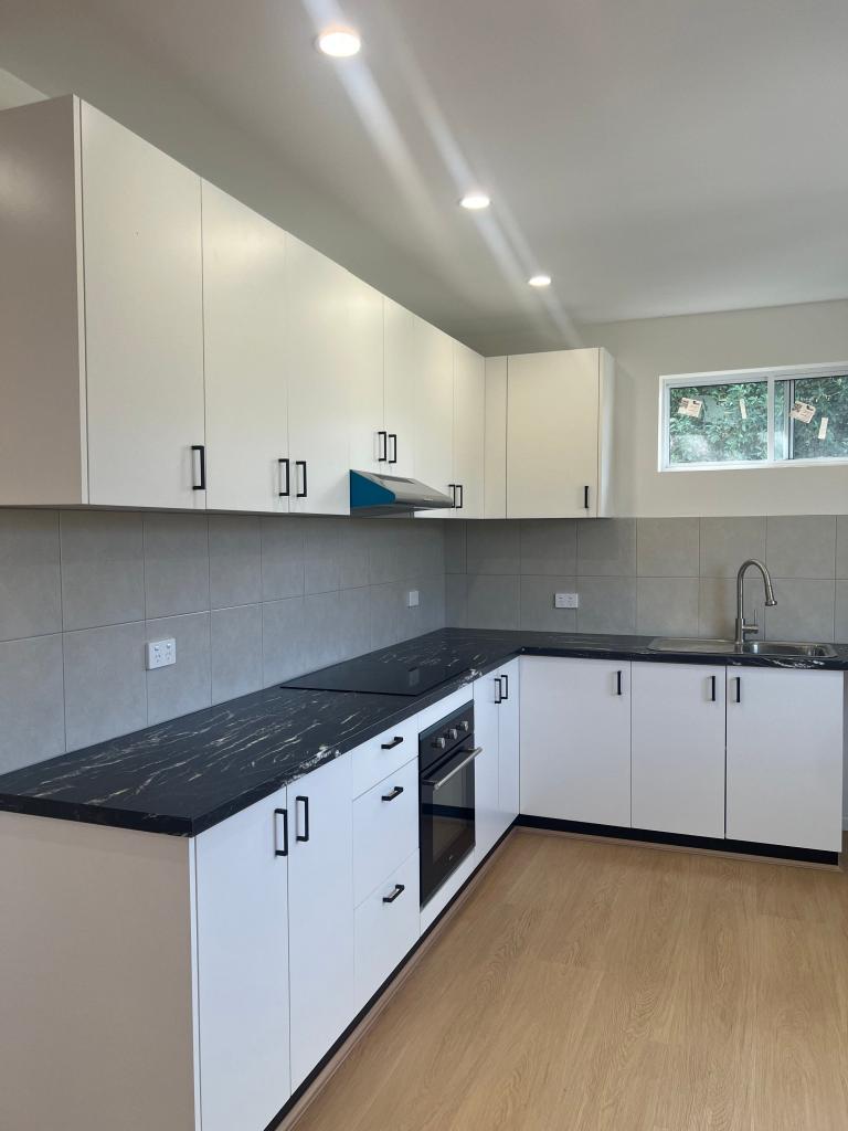 12a Barbara Ave, Warrawong, NSW 2502