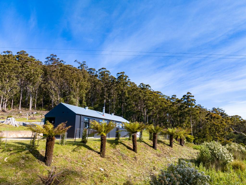 835 Lottah Rd, Lottah, TAS 7216