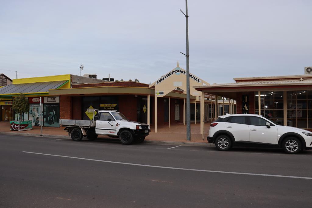 3/12 Denny St, Berri, SA 5343