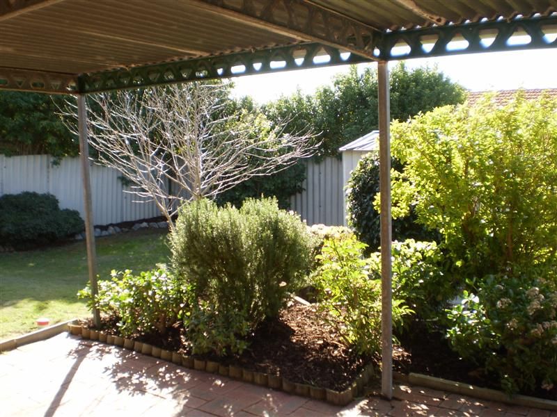 1b Hamersley Way, Kardinya, WA 6163