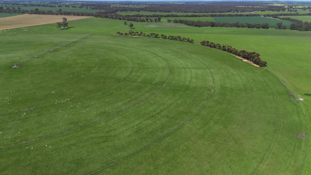 220 Downing Rd, Mundulla West, SA 5270