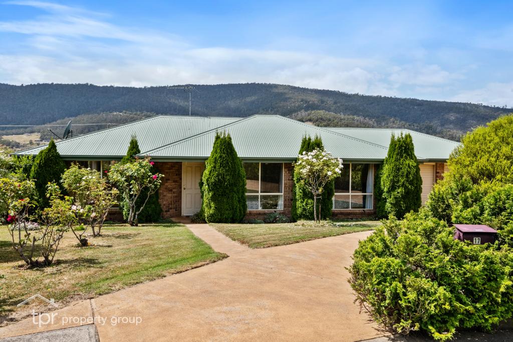 17 Wellington St, Huonville, TAS 7109