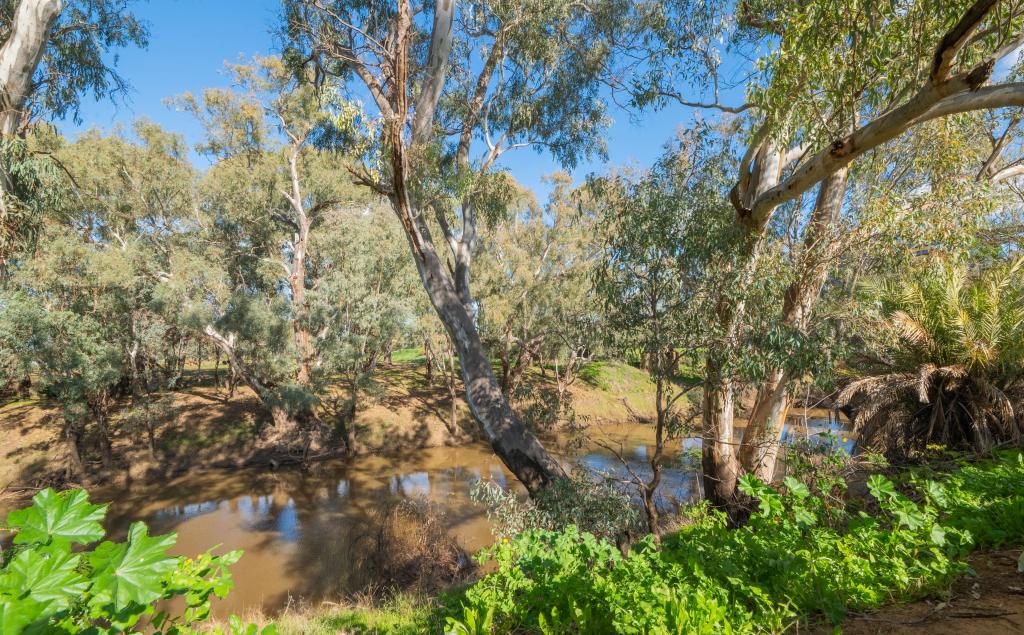 289 Lower Bathurst St, Forbes, NSW 2871