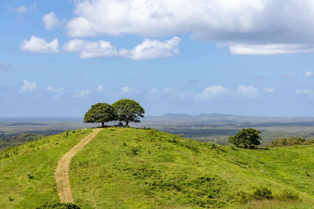 37 Simpsons Rd, Cootharaba, QLD 4565