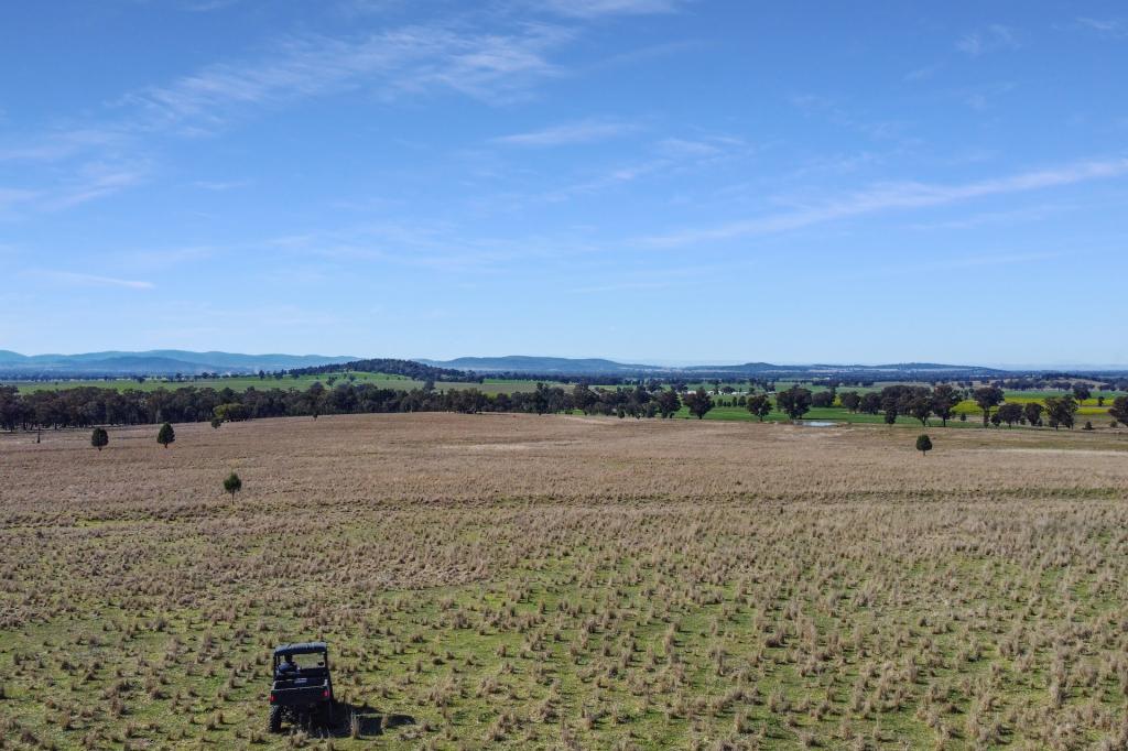 Loch Lomond Rd, Gooloogong, NSW 2805