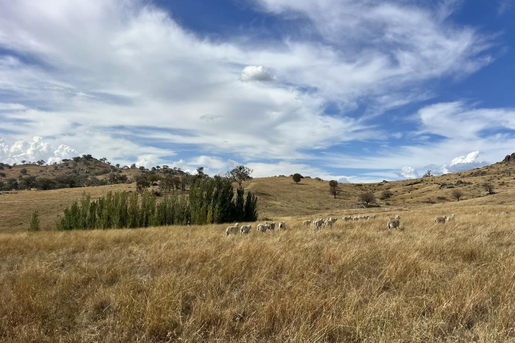 Lot 1 Mount Mcdonald Rd, Wyangala, NSW 2808