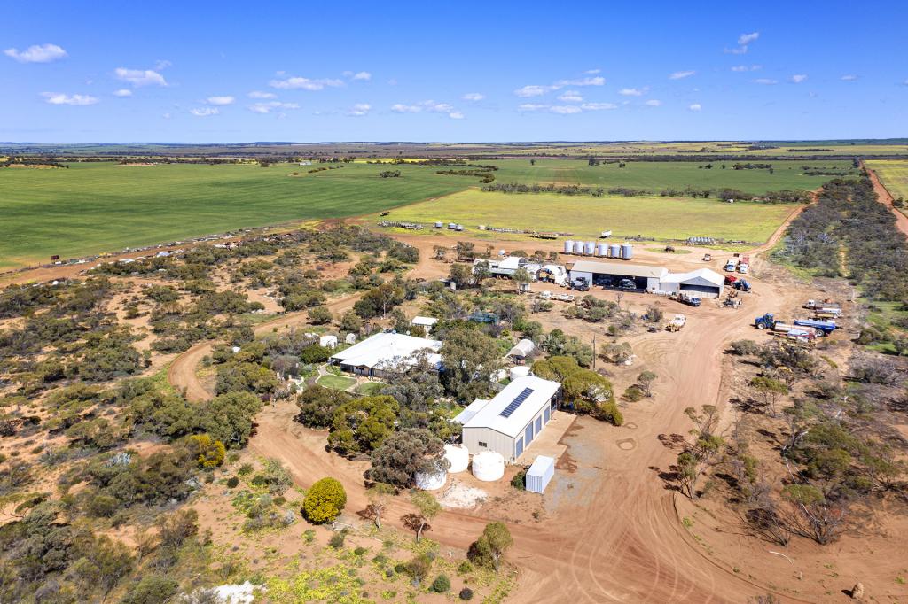 2451 Mullewa-Wubin Rd, Mullewa, WA 6630