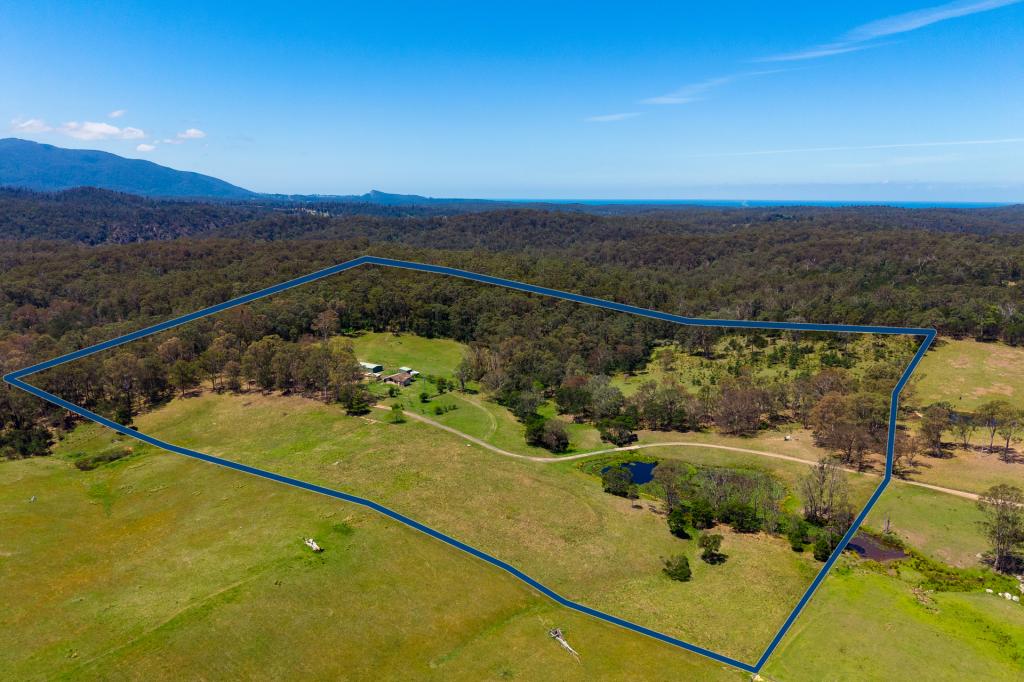 804 Cobargo Bermagui Rd, Coolagolite, NSW 2550