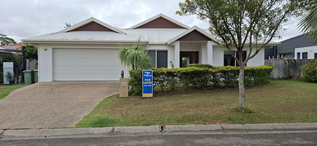 12 Lord Howe Prom, Douglas, QLD 4814