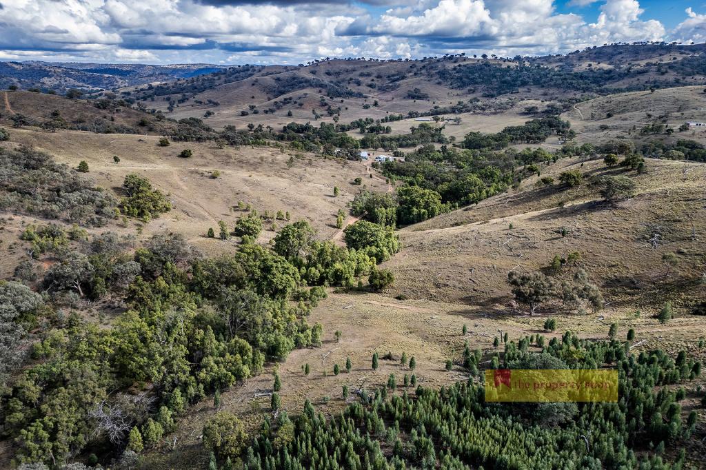 782 Yarrabin Rd, Mudgee, NSW 2850