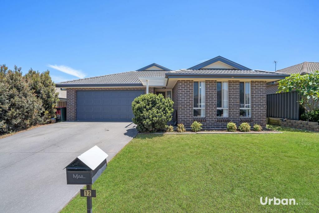 12 Kelman Dr, Cliftleigh, NSW 2321