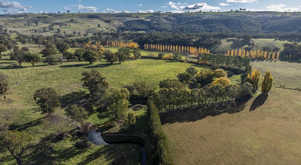 'The Grove' 635 Grove Creek Rd, Trunkey Creek, NSW 2795