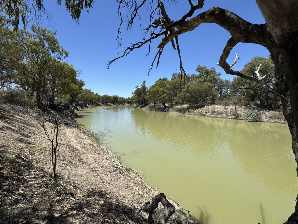 Lot 16 & 6 Pamamaroo Rd, Menindee, NSW 2879