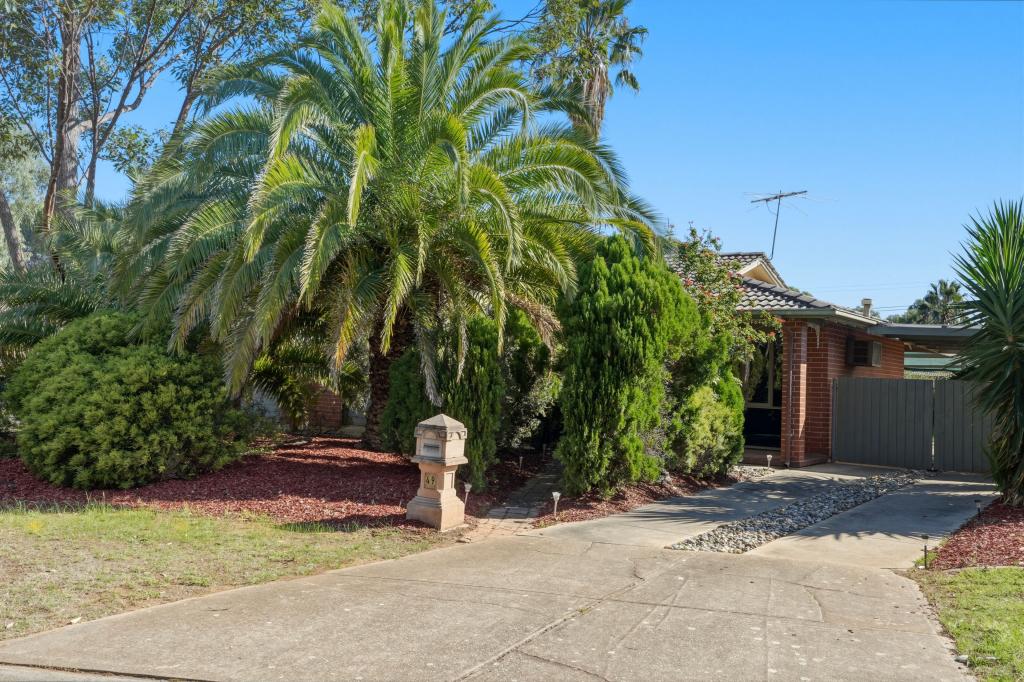 49 Jenkins Dr, Salisbury Park, SA 5109