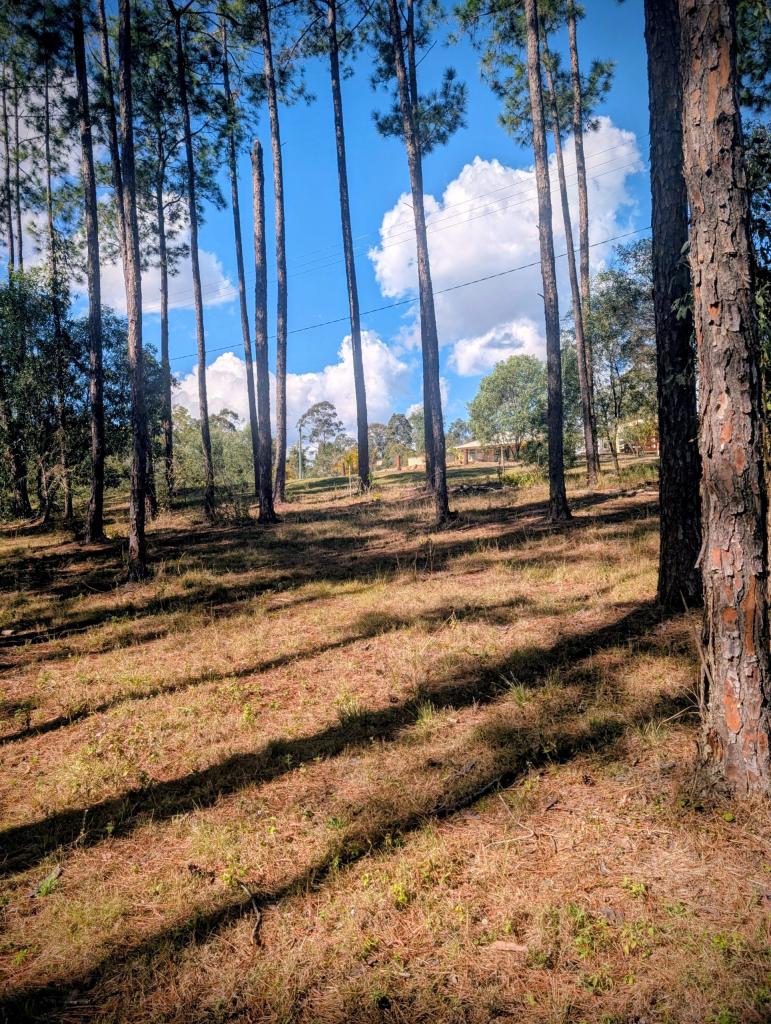 Lot 513 Arborcrescent Rd, Glenwood, QLD 4570