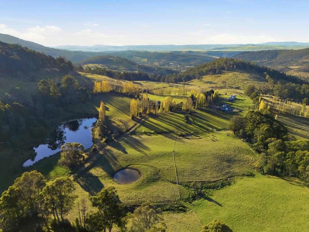 Lot Agricultural Hub/460a Dry Poles Rd, Ellendale, TAS 7140