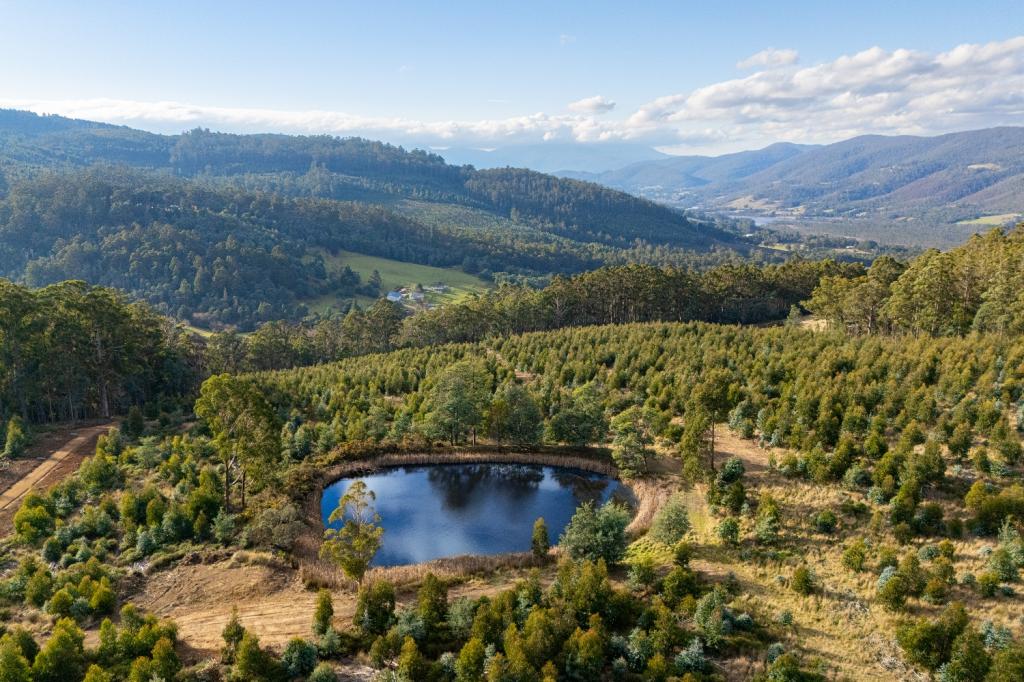 Lot 10 Off Paddys Lane, Franklin, TAS 7113