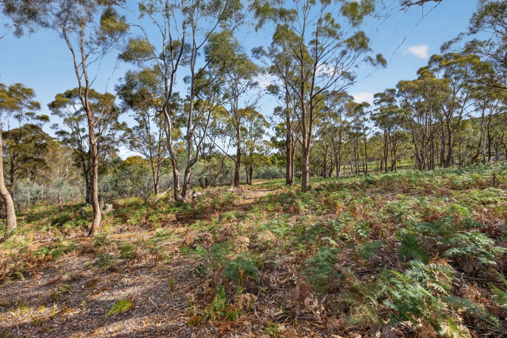 183 Josephs Rd, Carlton, TAS 7173