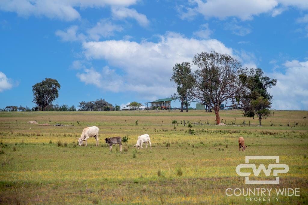 1461 Atholwood Rd, Bonshaw, NSW 2361