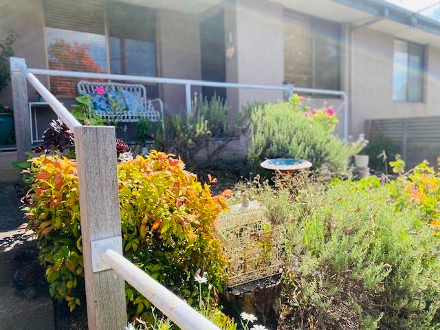 2/381 Nepean Hwy, Frankston, VIC 3199