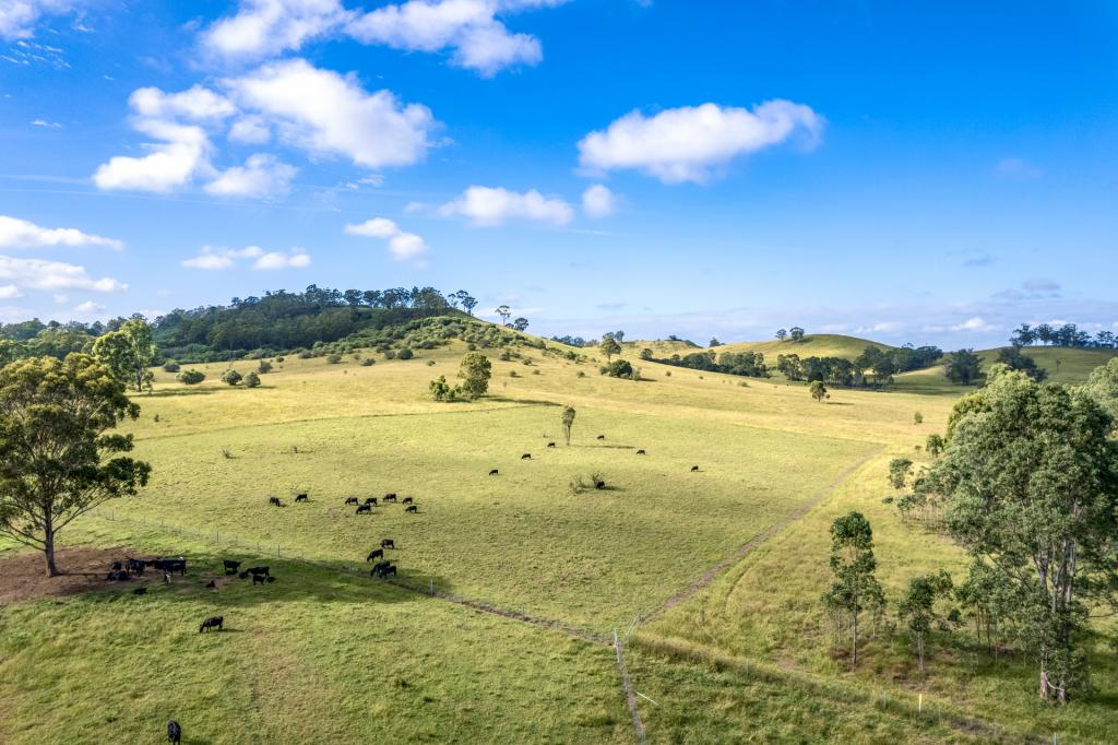 420 Cut Hill Rd, Cobbitty, NSW 2570