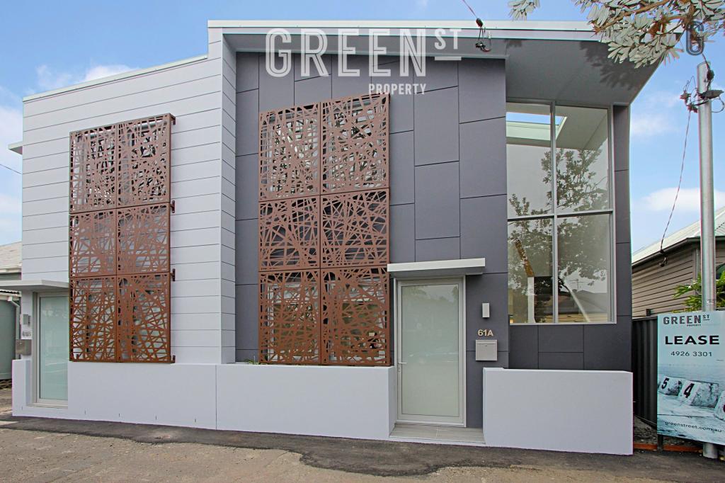 61a Chinchen St, Islington, NSW 2296