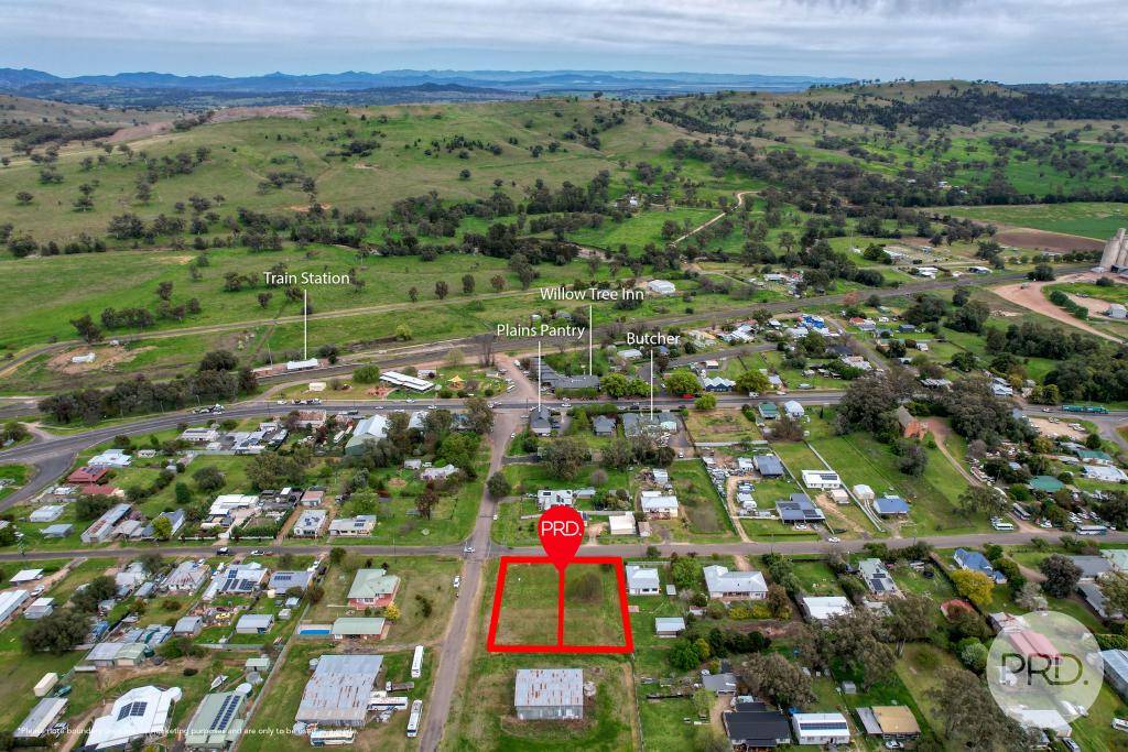 44 Learmonth St, Willow Tree, NSW 2339