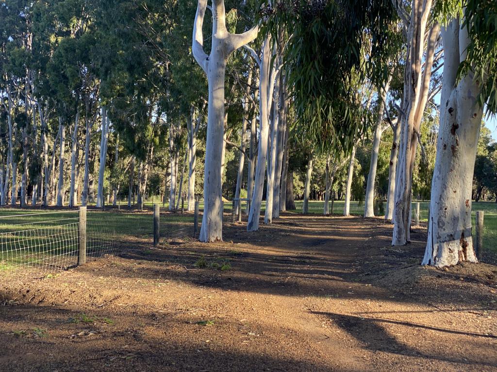 Proposed Lot 104, 1180 Needham Rd, Wooroloo, WA 6558