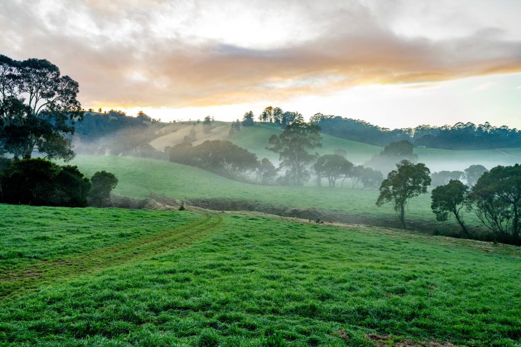 1431 Coramba Rd, Dorrigo, NSW 2453