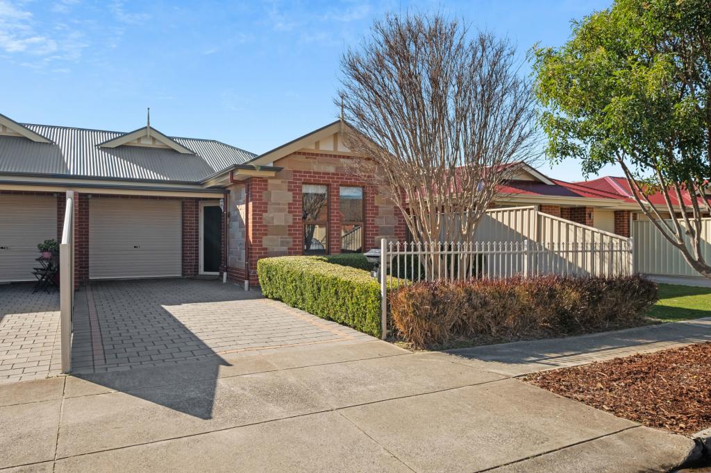 19 Allison St, Ascot Park, SA 5043