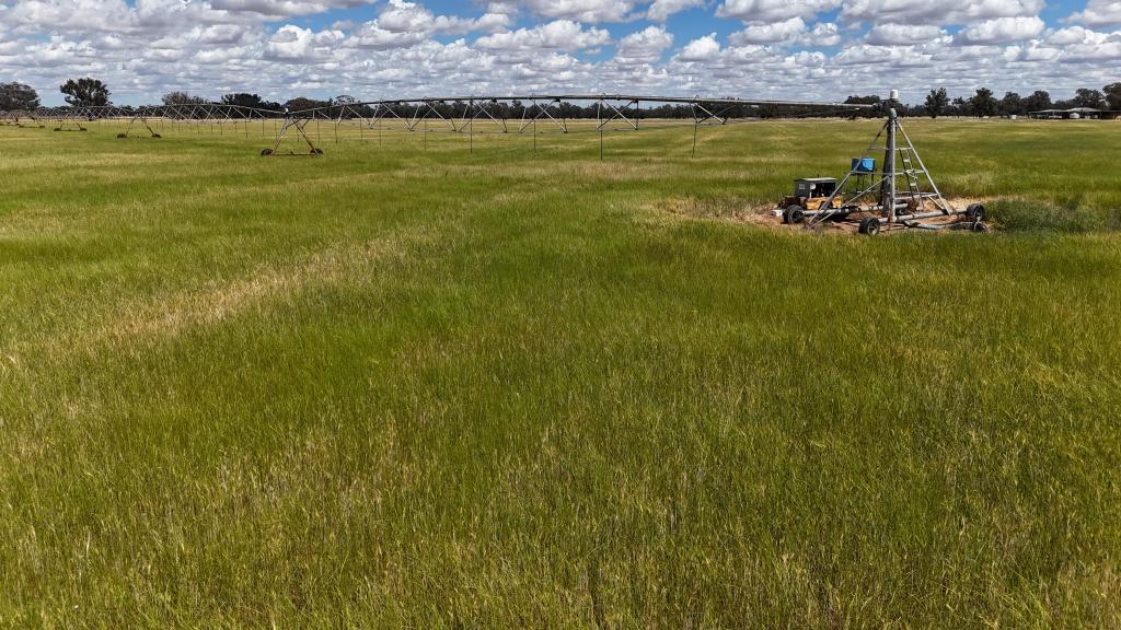 10 NOAKES RD, BEDGERABONG, NSW 2871
