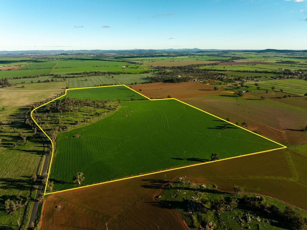 126 Coursing Park Rd, Downside, NSW 2650
